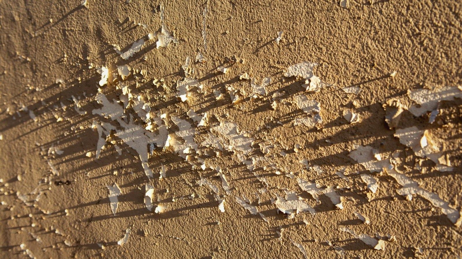 An oak panel face up under a hard raking beam, craquelure catching the light